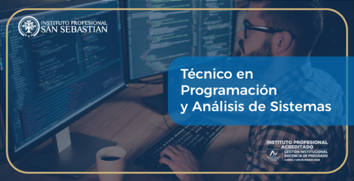 Técnico en Programación y Análisis de Sistemas - Instituto Profesional